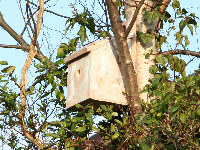 Nest Box